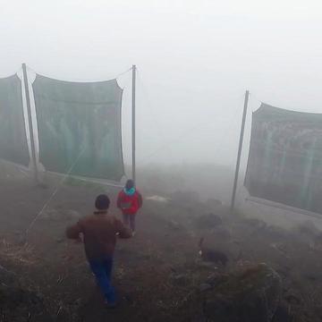 These Giant Nets Are Turning Water Into Fog