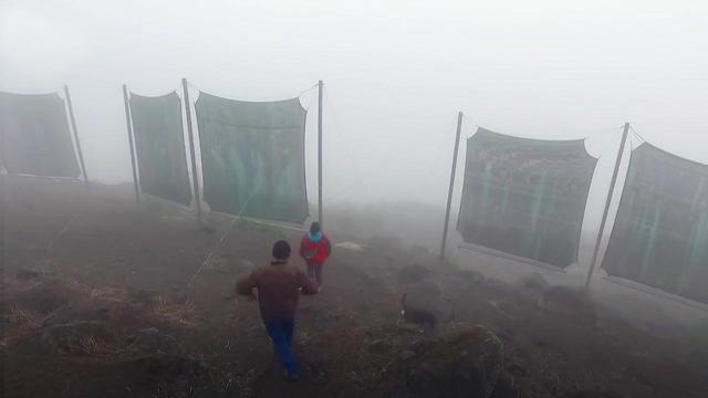 These Giant Nets Are Turning Water Into Fog