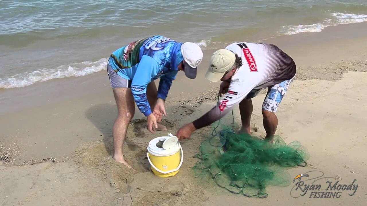 How many mullet in the cast net competition??