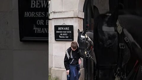 Boy bumps in to horse #horseguardsparade