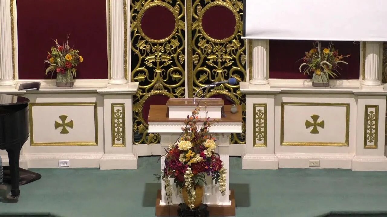 Servicio Domingo Tarde | 11/13/22