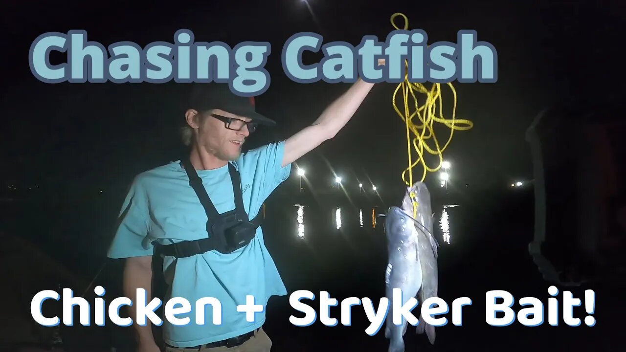 Fishing 4 Catfish - Chicken AND Stryker Bait!