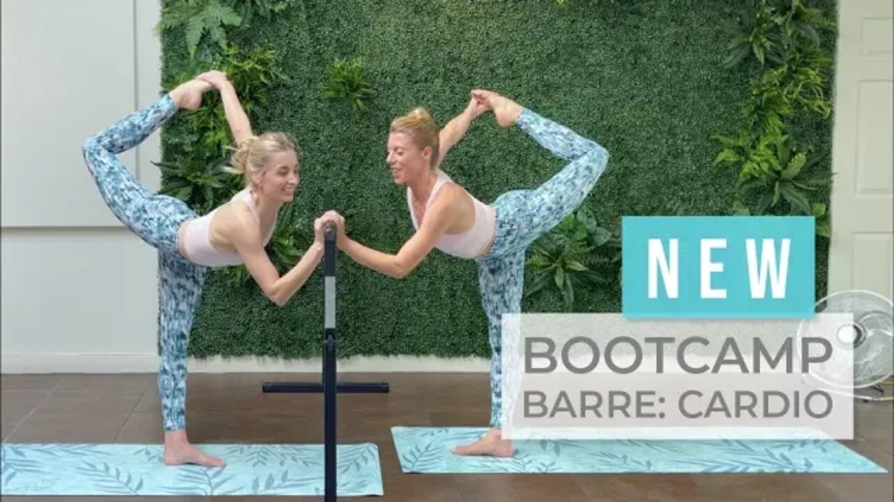 New Sleek Bootcamp Barre - Cardio