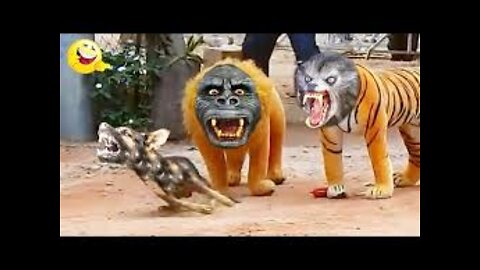 Troll Prank Dog Funny & fake Lion and Fake Tiger Prank To dog & Huge Box Prank to dog