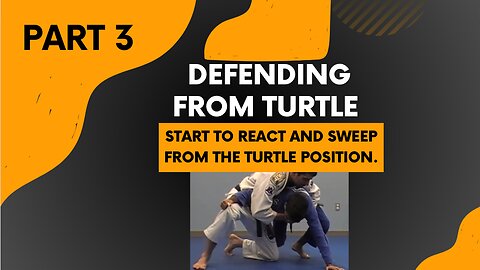 Defending from Turtle (Part 3 of the complete seminar) Step Over Sweep