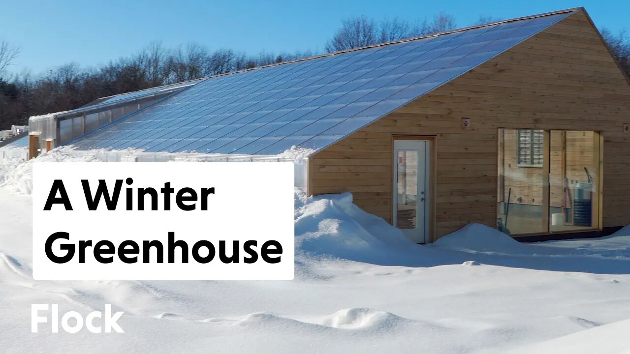 GEOTHERMAL GREENHOUSE'S First Winter — Ep. 020