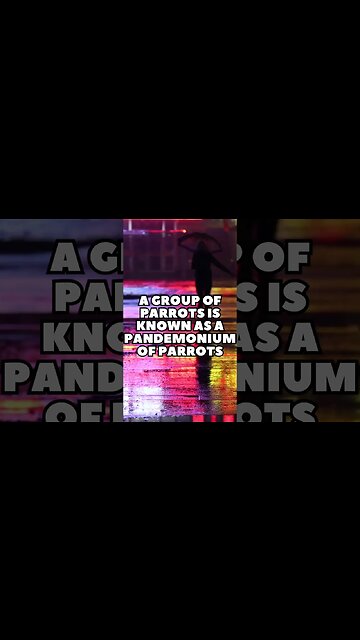 Incredible Random Facts That Will Expand Your Mind! [2023] #shorts #facts #viralshorts #fyp #life