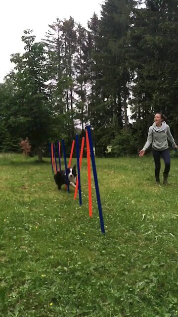 Slow motion agility slalom