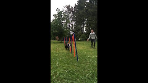 Slow motion agility slalom