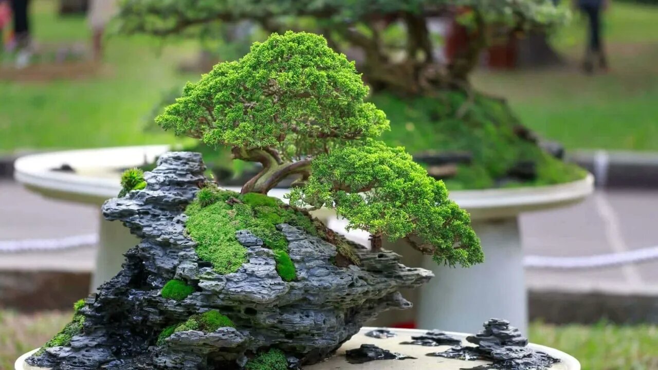 MEDITATION WITH SOUND AND 4STARS 😀😀😀