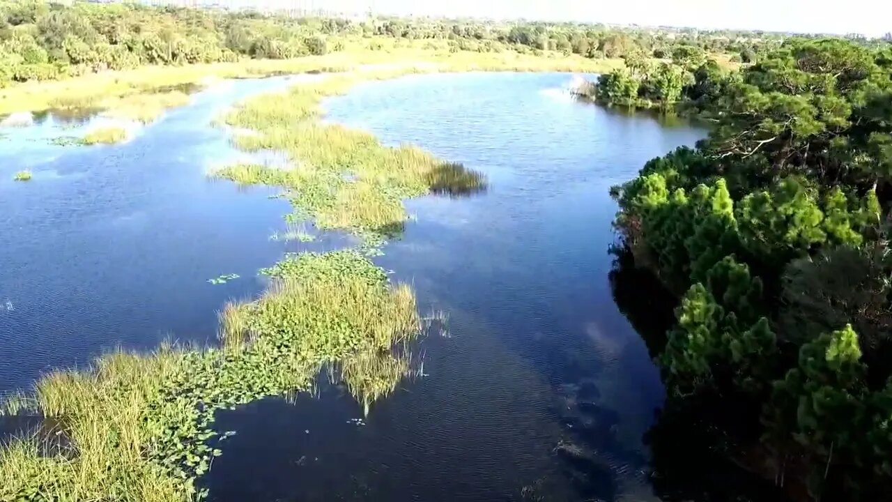 Winding Waters, FL