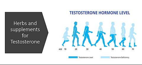 Herbs and supplements for testosterone