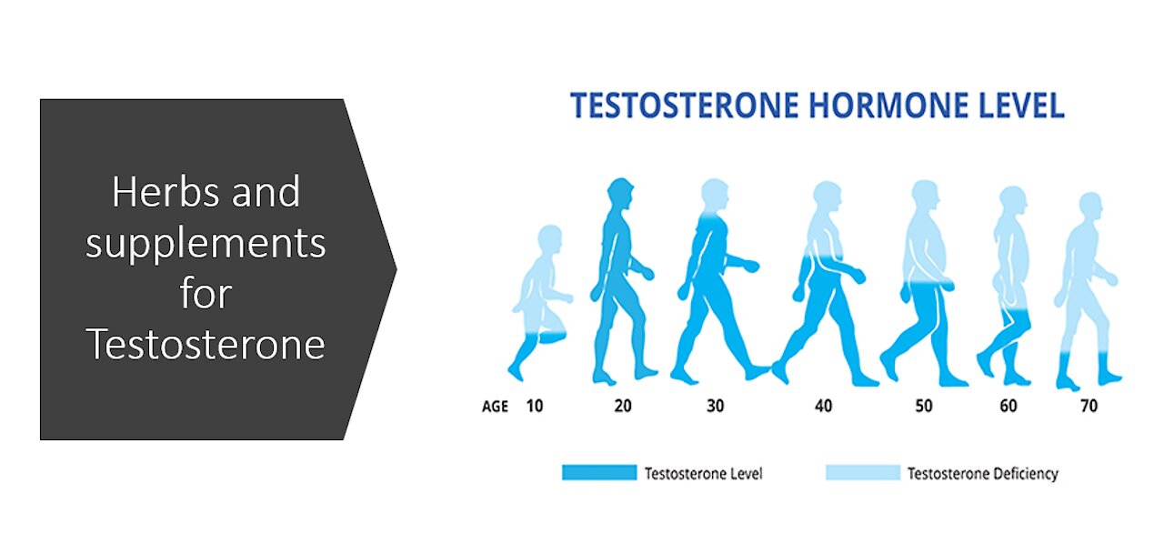 Herbs and supplements for testosterone