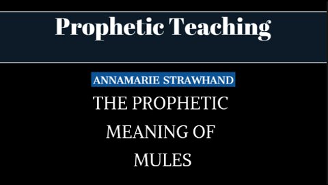 Prophetic Teaching: The Prophetic Meaning of Mules W/ Annamarie Strawhand 5/09/2022