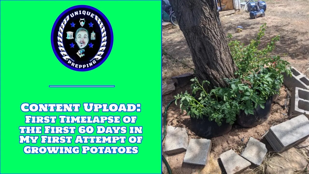 Content Upload: First Timelapse of the First 60 Days in my First Attempt of Growing Potatoes