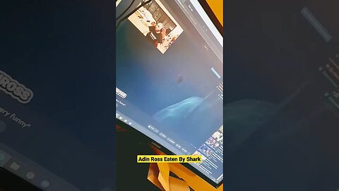 Adin Ross Eaten By A Shark