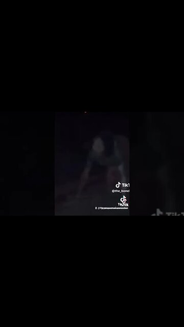 Something in the Woods