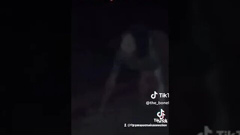Something in the Woods