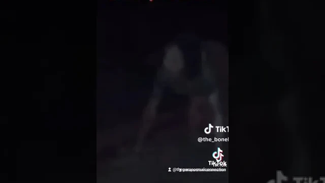 Something in the Woods