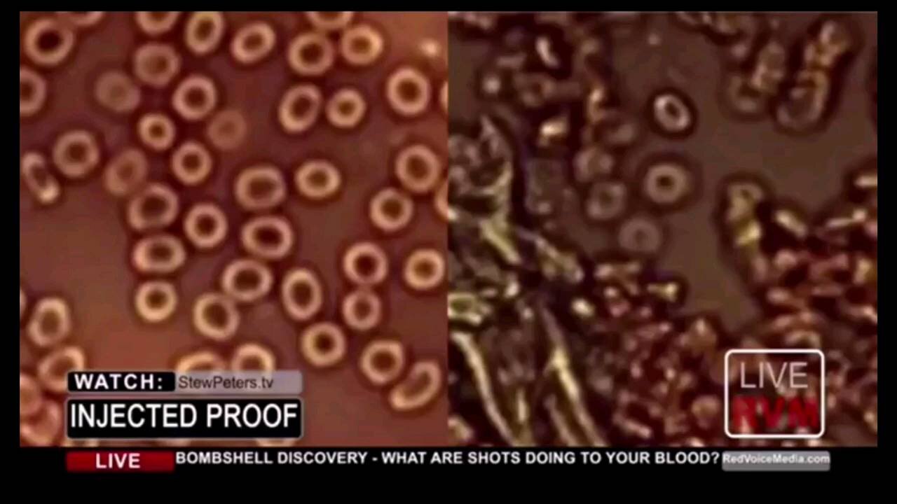 What are the jabs doing to our blood?