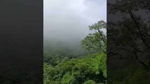 😇💙 #mountabu #view #greenry #mountains #clouds #peaceful #shorts #punjabisong #music #bollywood