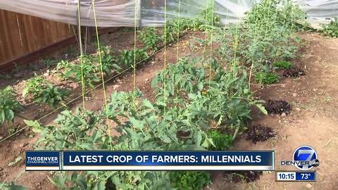 The latest trend among millennials is agriculture, as young people leave desk jobs for better life
