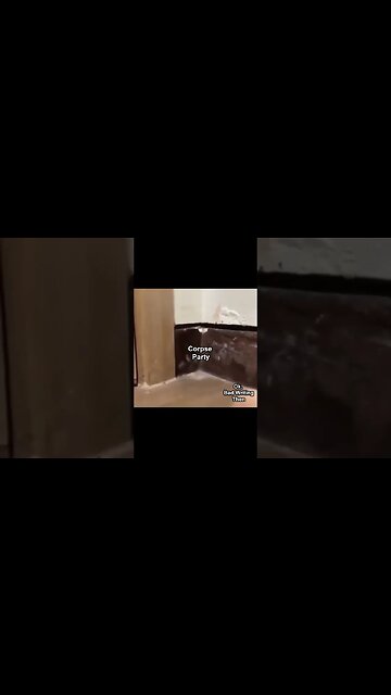 Choose Wisely... You Absolute Dunce! WTF IS WRONG WITH YOU #Shorts