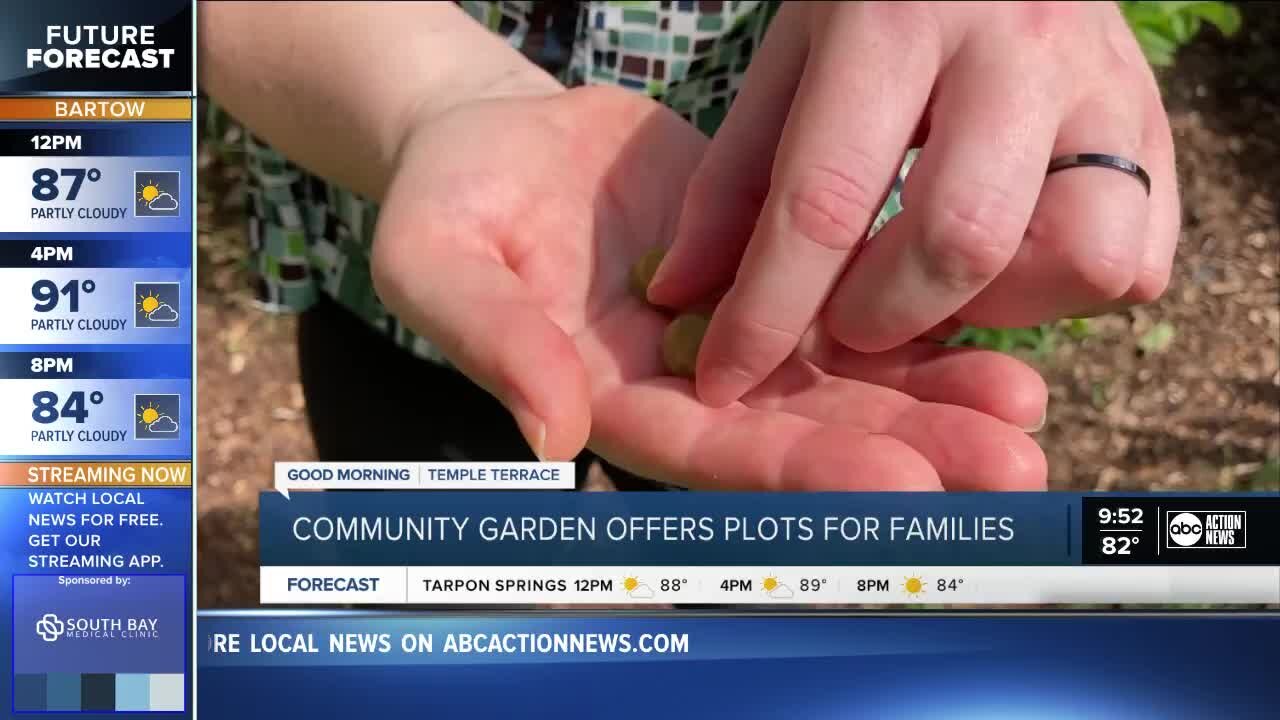 Temple Terrace Community Gardens provides place for families to grow their own vegetables