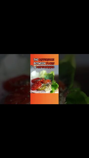 DIFFERENCE BETWEEN DISPENARIES AND PLUGS#shorts