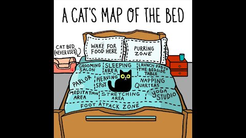 A Cat's Map Of The Bed [GMG Originals]