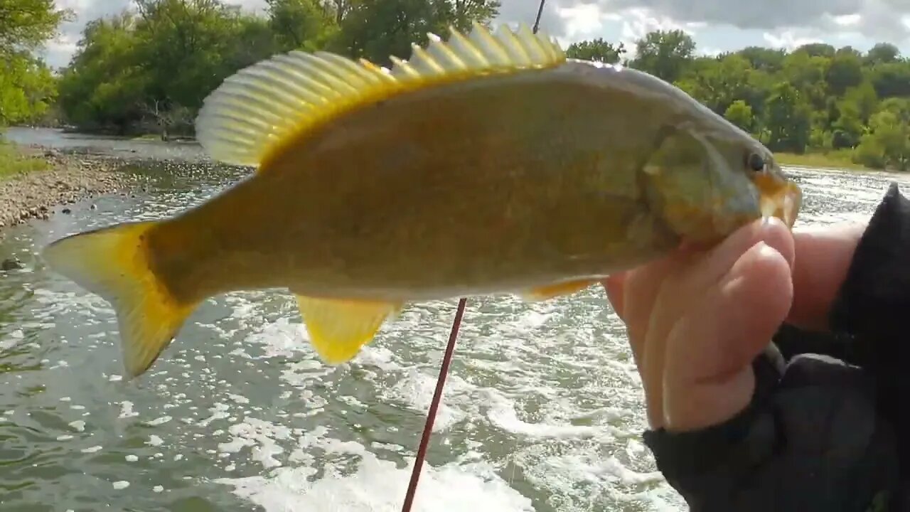 Fishing the Fox River for BASS.