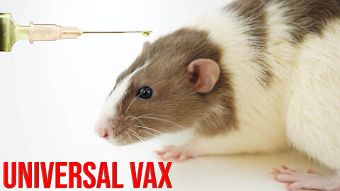 Universal Vax Being Developed NOW with Humanized Mice