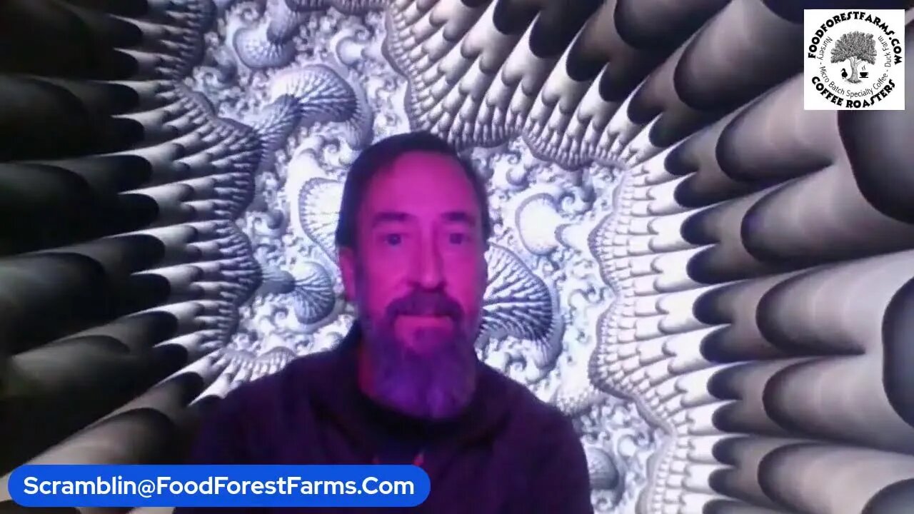 fractal test