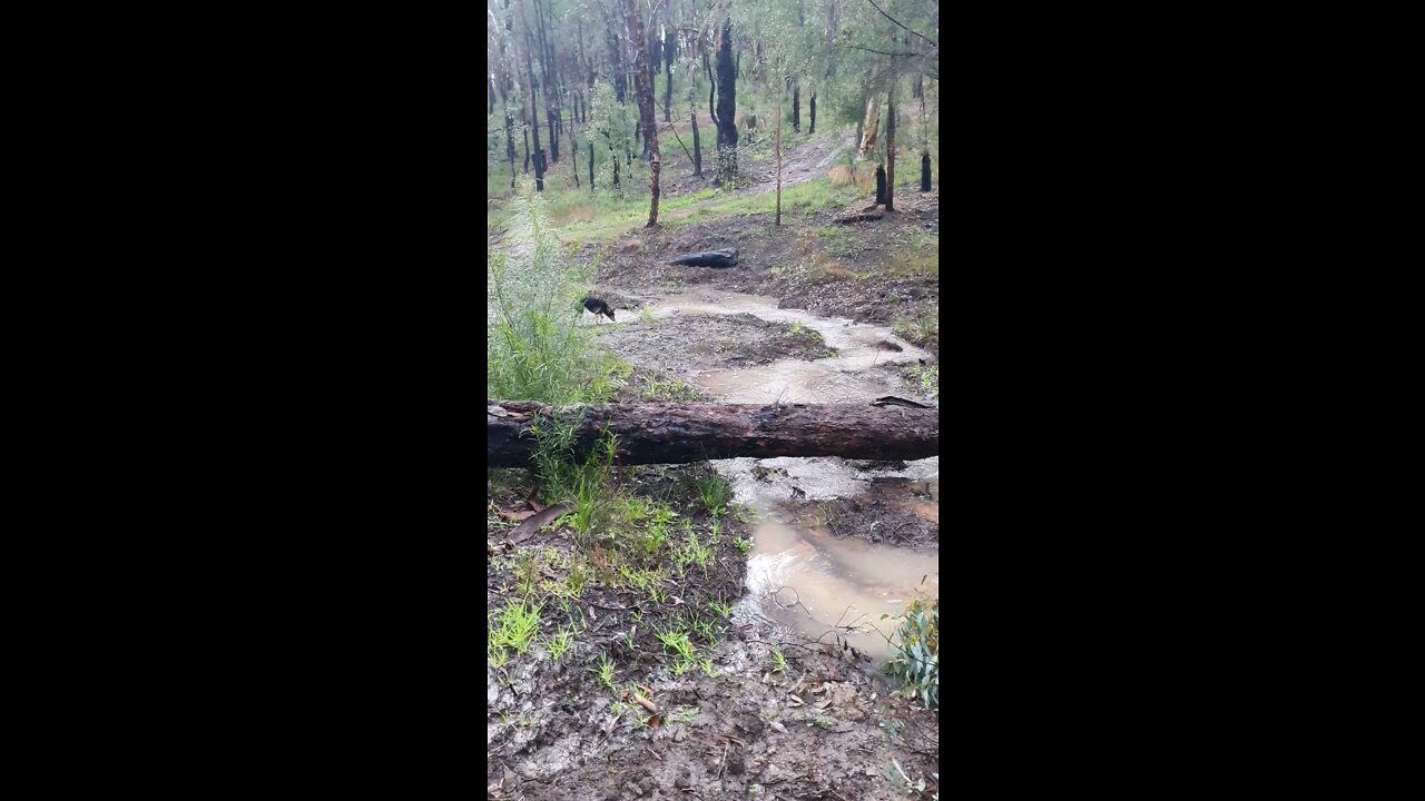 Why are Farmers never happy!!