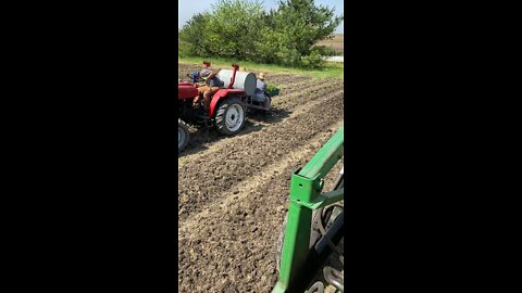 Transplanting tomatoes!