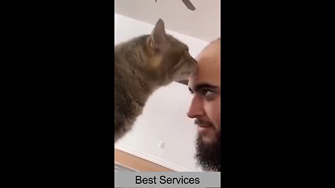 Funny cats moments caught on camera