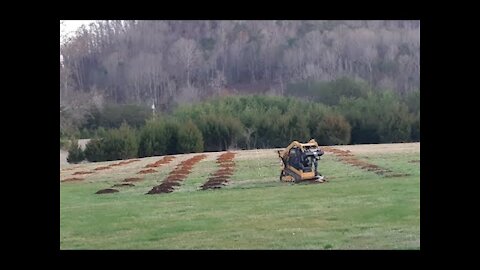 Planting a Fruit Orchard, Watch This First