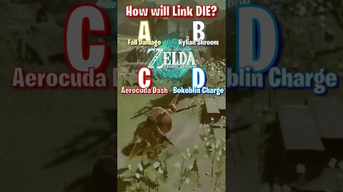 How will Link DIE in this video? 💀 DAY 2