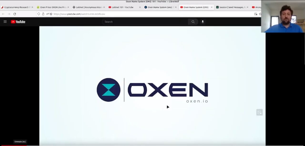 Oxen - The Most Undervalued Crypto