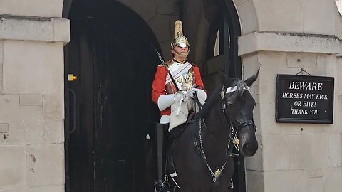 Kings guard shouts at bus driver stopping bus for tourist to take photos (KEEP MOVING) #kingsguard