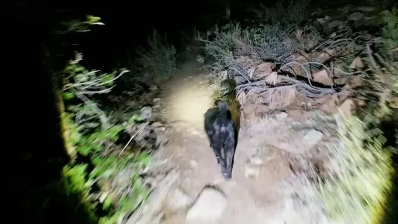 Bigfoot Search Under Full Sturgeon Moon, southern colorado