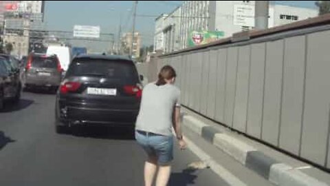 Gatinho é salvo em plena autoestrada