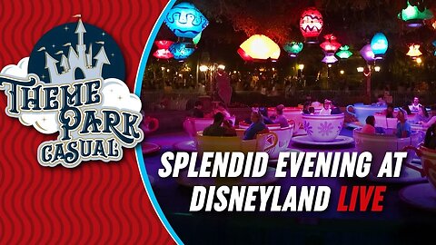 LIVE at Disneyland | Splendid Evening at Disneyland