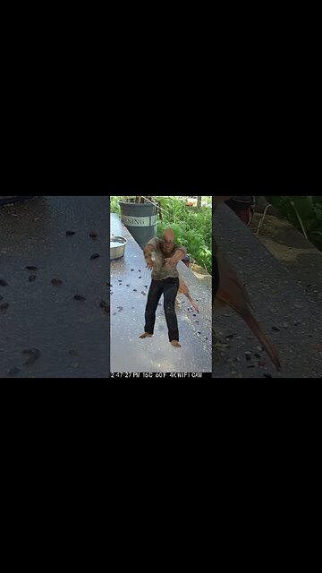 The Day The Zombies Visited! 😬