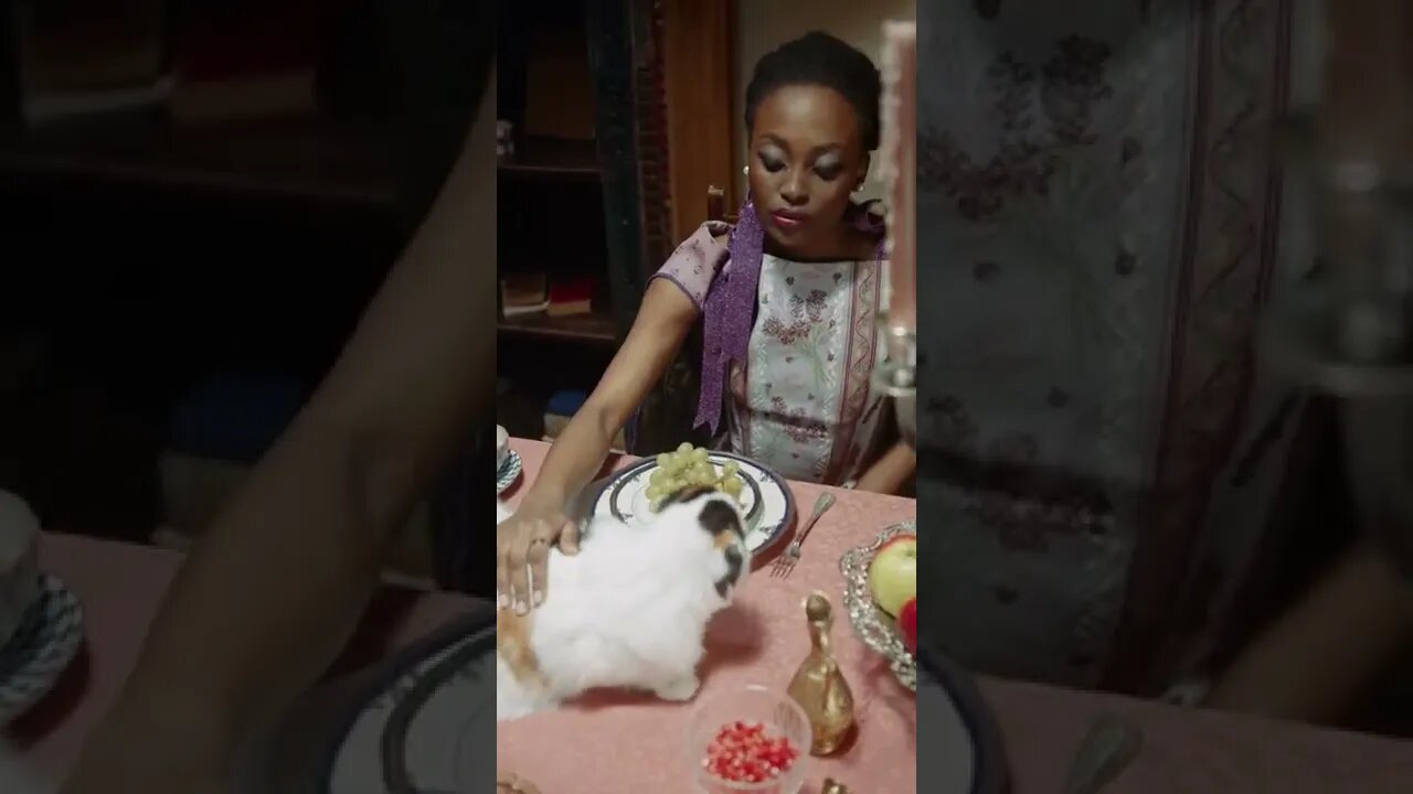 KUCING LUCU #PART 90