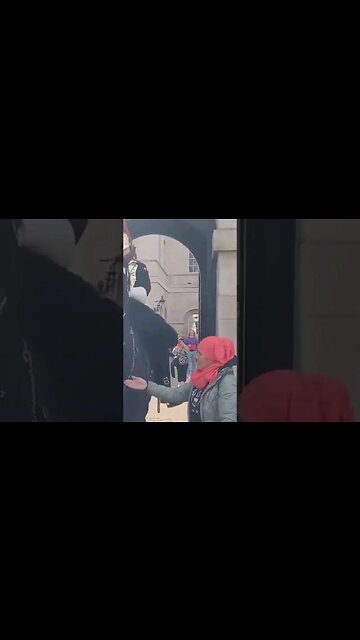 The kings guard does not want Karen to touch #horseguardsparade