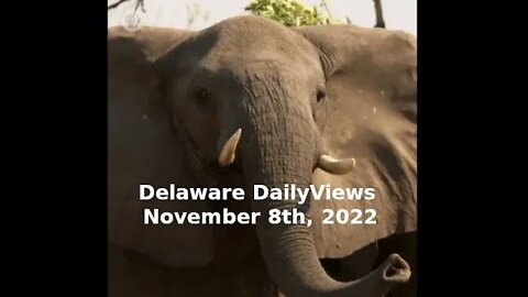 Election Day Ballot Shortage. Delaware DailyViews: November 8th, 2022