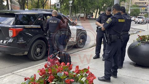 Chaos at city hall