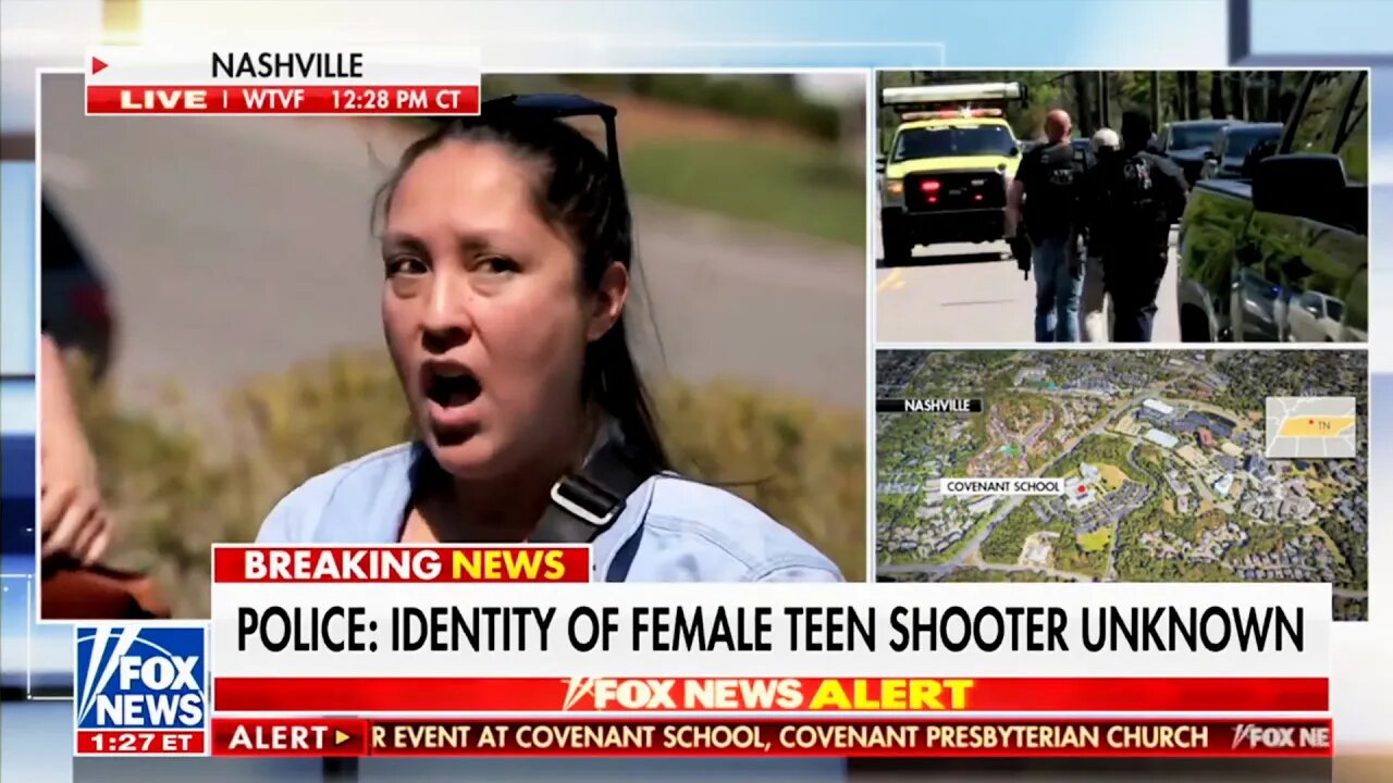 Mom hijacks live Fox News segment to demand gun safety