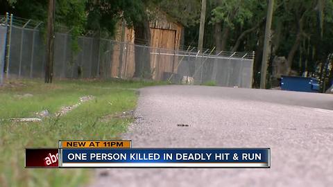 One person killed in hit and run accident